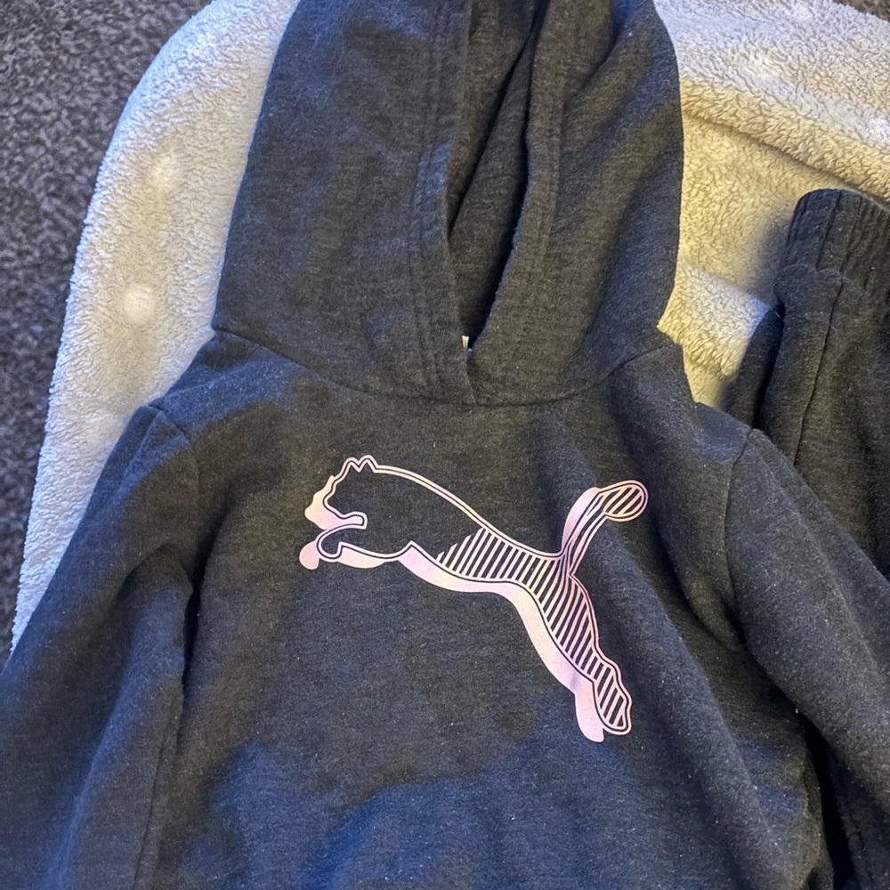 2t puma sweatsuit